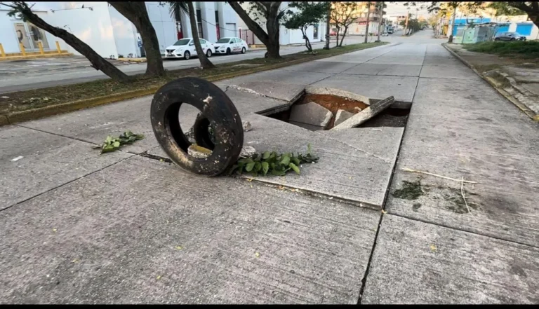 coatza baches